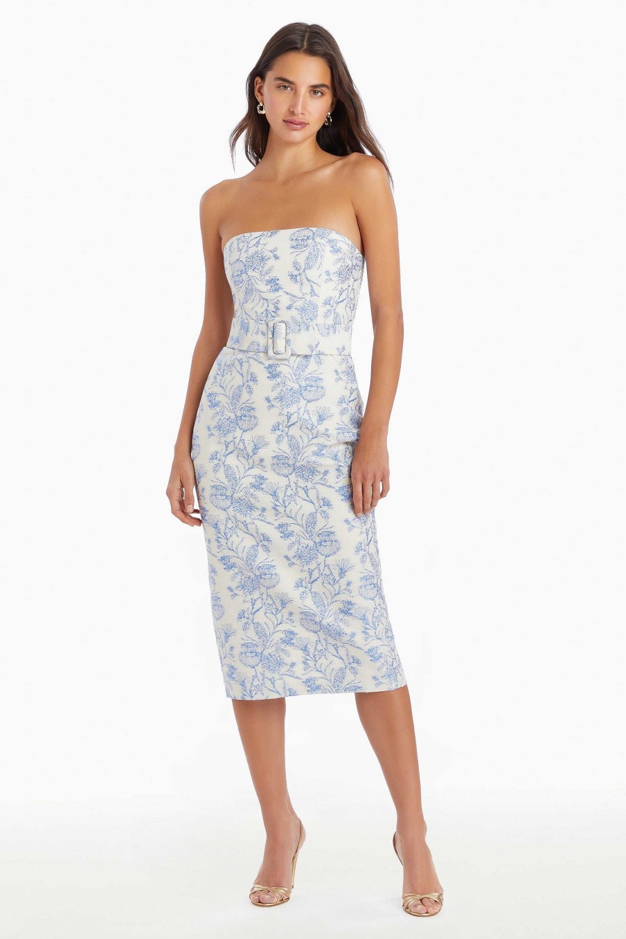 Clearance Fae Midi Dress In Toile Brocade Midi Dresses